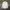 Belvest Button Up Shirt White photo 8