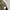 cargo balon superwide photo 9
