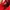 Adidas Samba Jane Red White photo 6