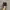 Nike Tailwind Skepta Black Led photo 4