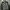 Stone Island Overshirt Jacket Hoodie photo 1