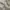 Napapijri Vintage Casual Jacket Men’s Tan  photo 8