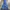 Mont-Bell Outdoor Jacket Water Resistance Blue  photo 1