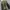 Levi's Sta Prest Pants Celana Vintage photo 2
