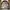 Napapijri Geographic Casual Puffer Padded with Hidden Hoodie photo 2