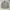 Movent Jacket Size L photo 1