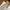 Aigle Thermo Kit Outdoor Jacket Waterproof Japan Market photo 9