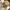 Aigle Thermo Kit Outdoor Jacket Waterproof Japan Market photo 5