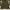 Jacket uniform bridge & co photo 1