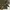 Jacket uniform bridge & co photo 6