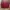 Tas wanita coach handbag fuschia leather original  photo 1