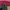 Tas wanita coach handbag fuschia leather original  photo 8