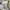 Fendi Luxury Shirt Wanita white gray photo 5