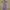 New Look Cami top Wanita purple photo 3
