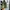 New Balance 1906 Dark Moss photo 3