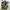 New Balance 1906 Dark Moss photo 5