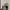 Converse chuck  taylor all star shoreline photo 1