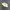 Topi Bucket Hat Kangol Original photo 1