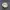 Topi Bucket Hat Kangol Original photo 4