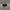 Topi Flatcap Kangol 504 Original - Baret Kangol photo 2