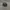 Topi Flatcap Kangol 504 Original - Baret Kangol photo 4
