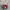 Puma Speedcat OG Red White photo 2