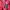 Michael Kors Biker Leather jacket Wanita red photo 4