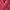 Michael Kors Biker Leather jacket Wanita red photo 7