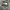 THE NORTH FACE NUPTSE 700fill DOWN JACKET photo 4