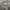 THE NORTH FACE NUPTSE 600Fill DOWN JACKET photo 4