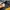 THE NORTH FACE NUPTSE 600Fill DOWN JACKET photo 7