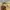 Vintage Y2K Flare pants Wanita tan photo 5