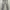 Giordano Low Rise Slim Tapered Jeans photo 1
