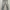 Giordano Low Rise Slim Tapered Jeans