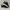 Nike Huarache run ultra black white photo 1