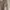 Tira Jeans Straight Jeans Warna Cream photo 3