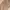 Tira Jeans Straight Jeans Warna Cream photo 4