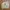 H&M Streetwear Sweater Pria Tan