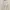 White Culottes