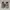 Adidas Yeezy 500 blush mens photo 3