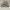 Adidas Yeezy 500 blush mens photo 1