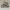 Adidas Yeezy 500 Blush Mens