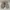 Adidas Yeezy 500 blush mens photo 2