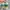 Sepatu Adidas Gazelle Low Trainers Green White Gum photo 4