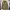 M65 Fashion Military Army Jacket By NII