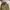 M65 fashion military army jacket by NII photo 10