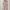 Jumpsuit Forever 21 Pink photo 1