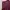 Maroon Plisket Pants photo 3
