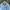 Tracktop adidas Argentina fifa world cup photo 2