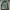 ABSTRAK PARKA JACKETS photo 1